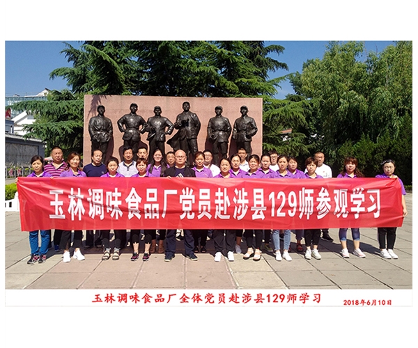党支部活动